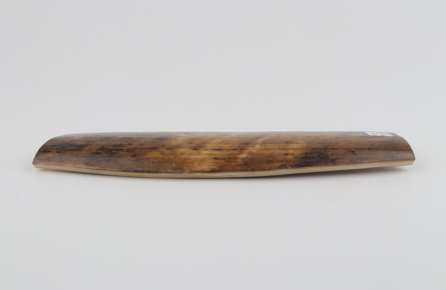 Mustard mammoth bark