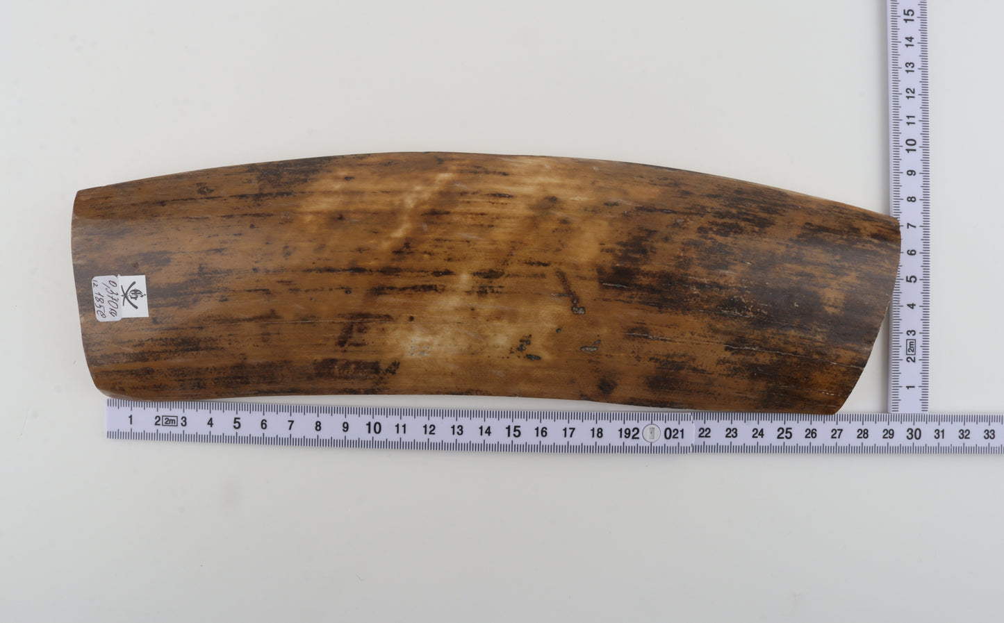 Mustard mammoth bark