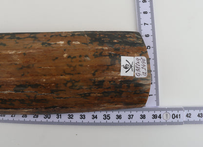 Mustard-blue mammoth bark