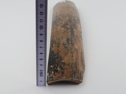 Mustard-blue mammoth bark