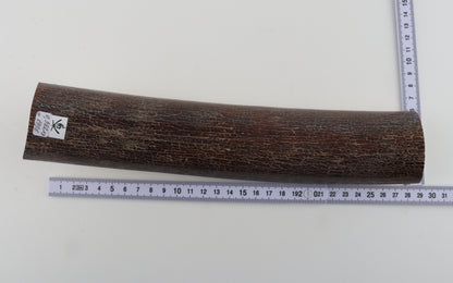 Brown mammoth bark