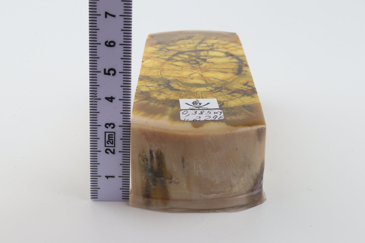 Stabilized mammoth ivory block