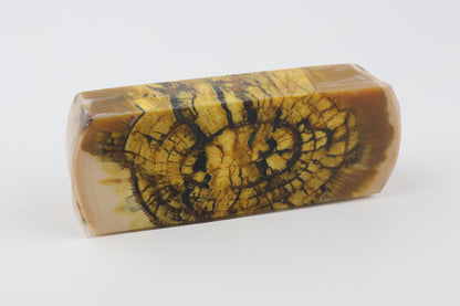 Stabilized mammoth ivory block