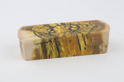 Stabilized mammoth ivory block
