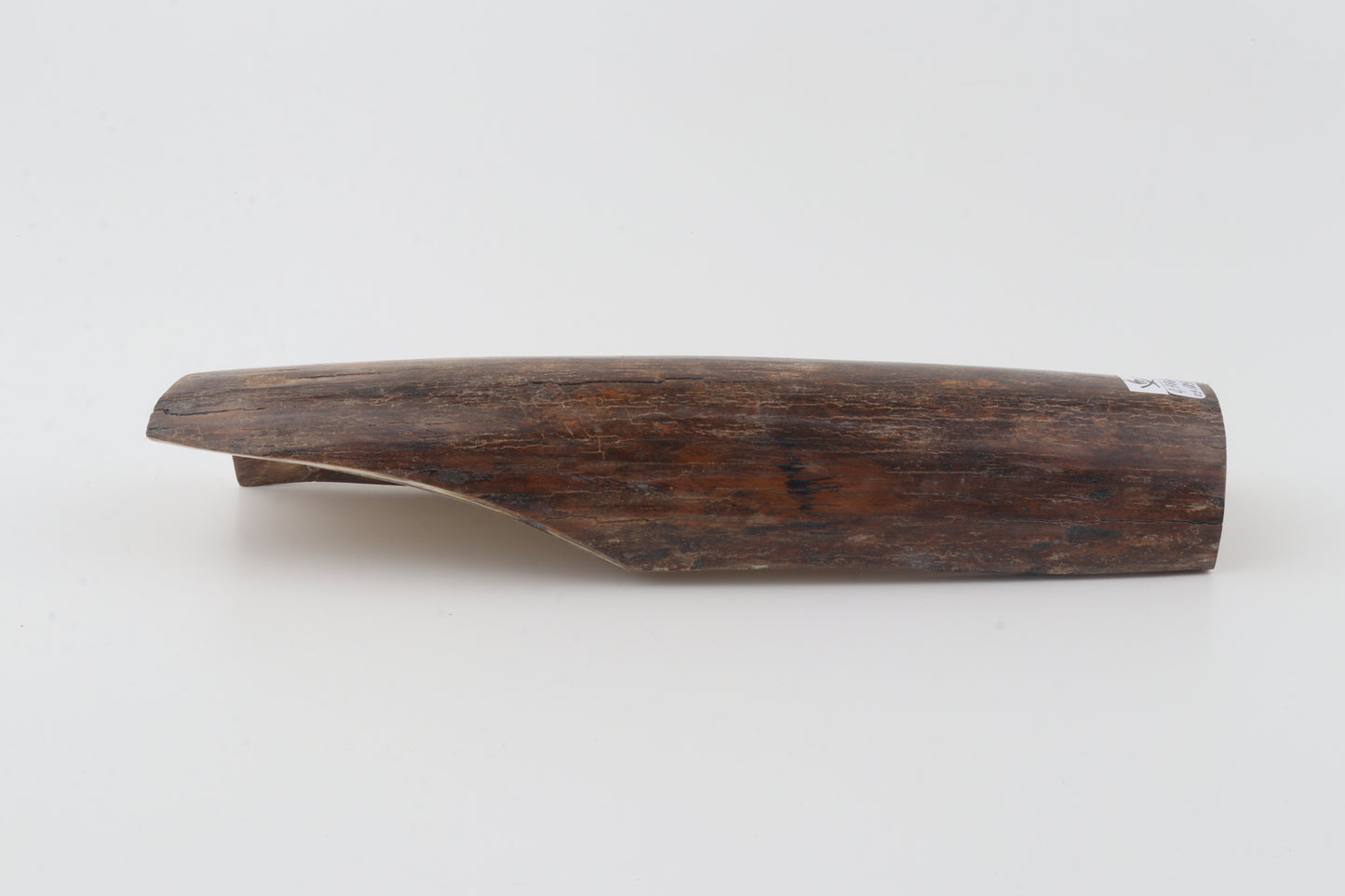 Brown mammoth bark