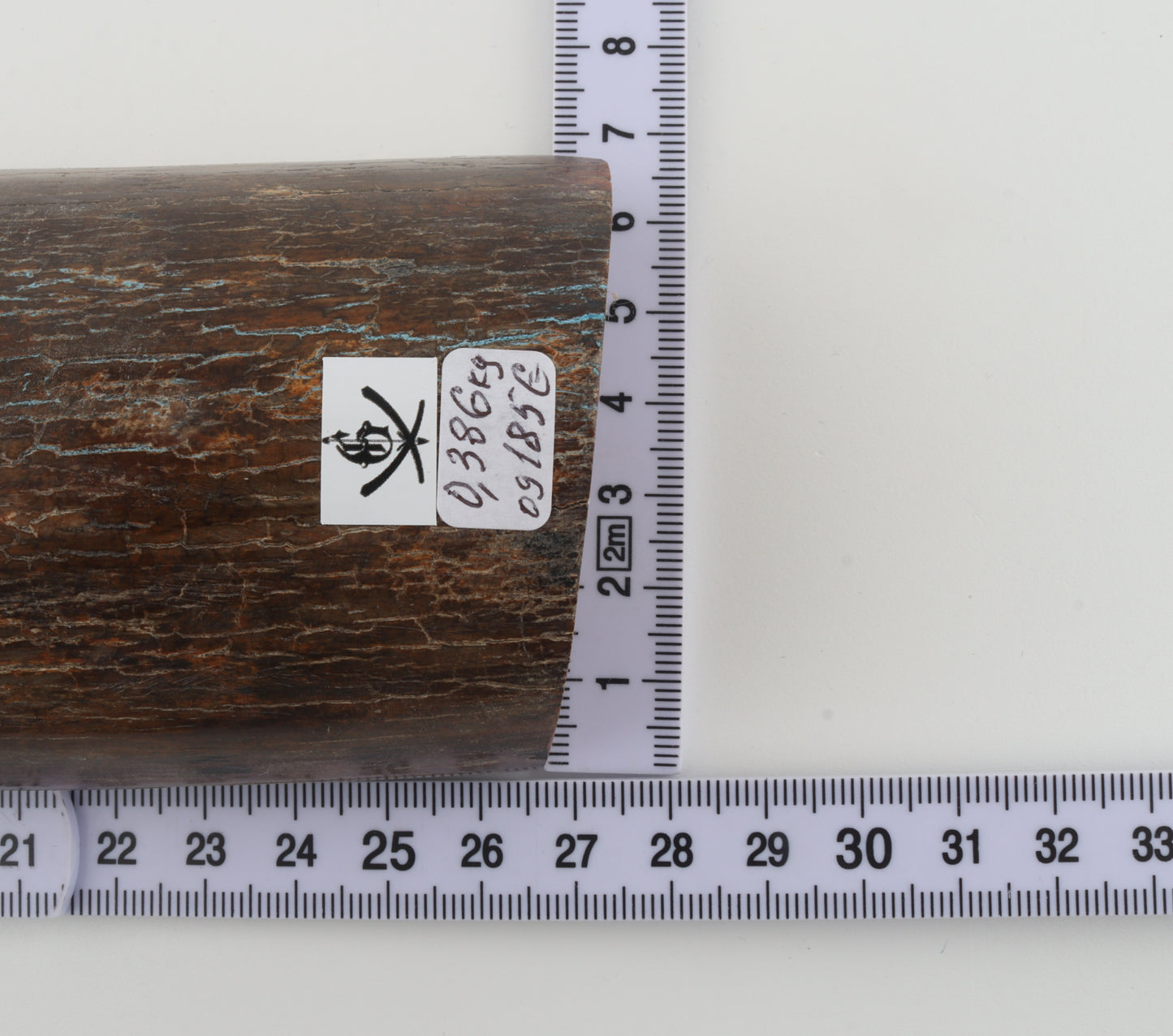 Brown mammoth bark