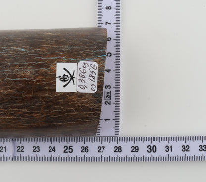 Brown mammoth bark