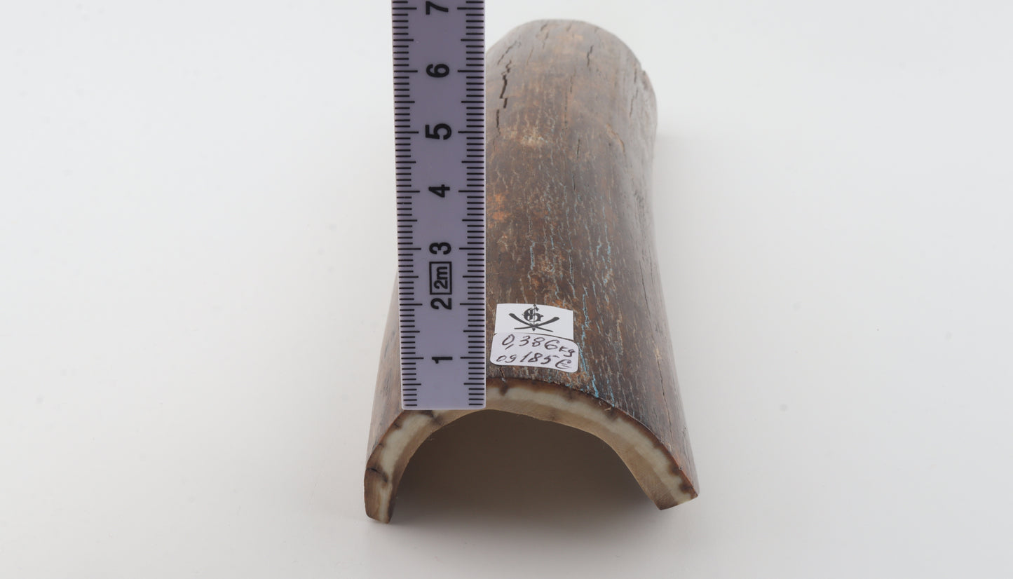 Brown mammoth bark