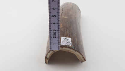 Brown mammoth bark