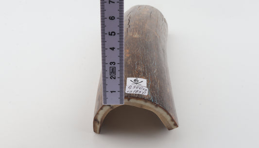 Brown mammoth bark