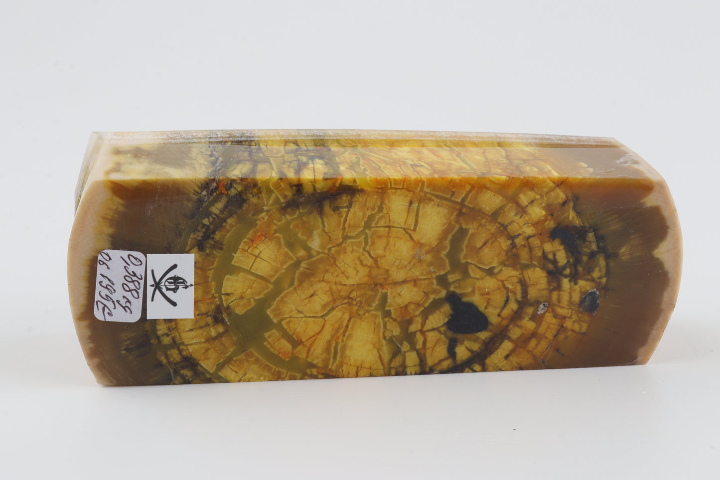 Stabilized mammoth ivory block