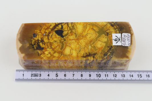 Stabilized mammoth ivory block