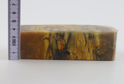 Stabilized mammoth ivory block