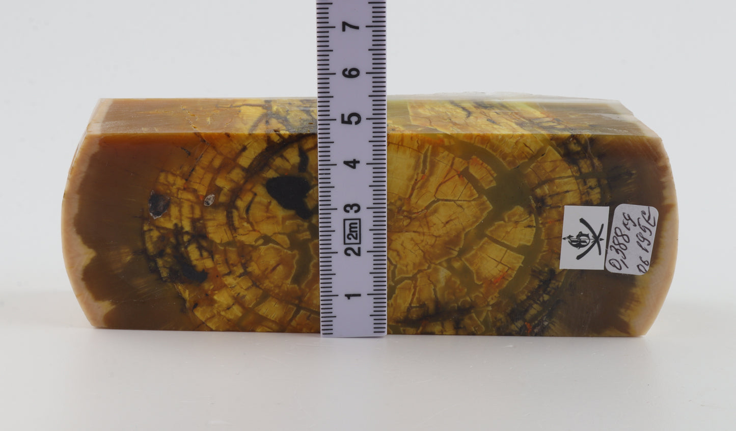 Stabilized mammoth ivory block