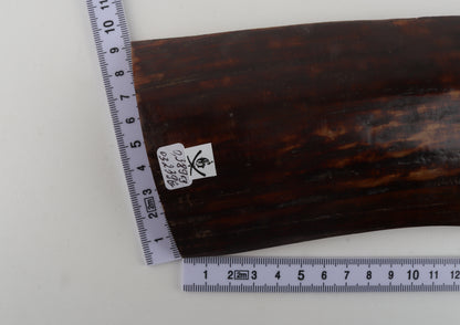 Red-brown mammoth bark