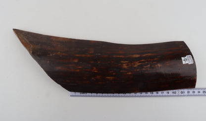 Red-brown mammoth bark