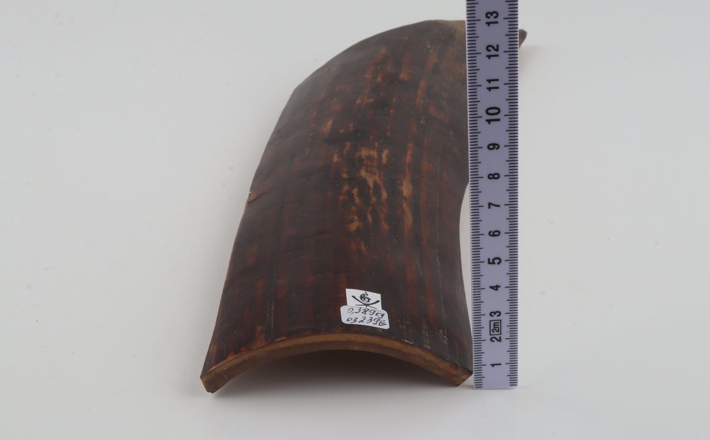 Red-brown mammoth bark