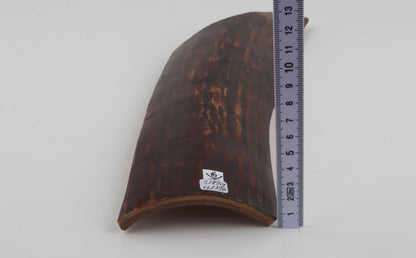 Red-brown mammoth bark