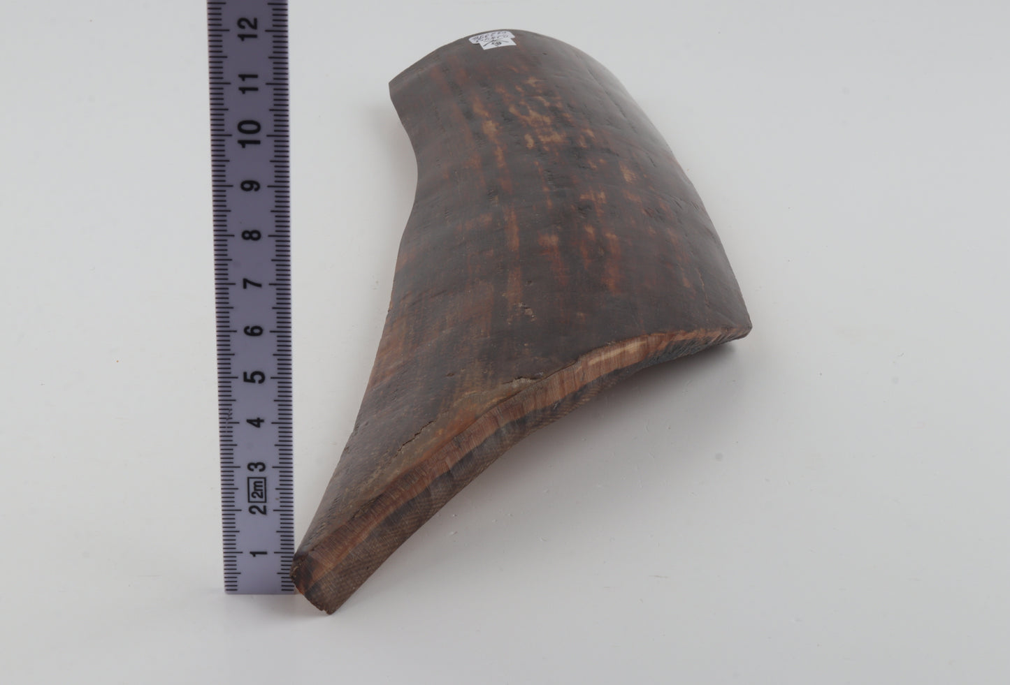 Red-brown mammoth bark