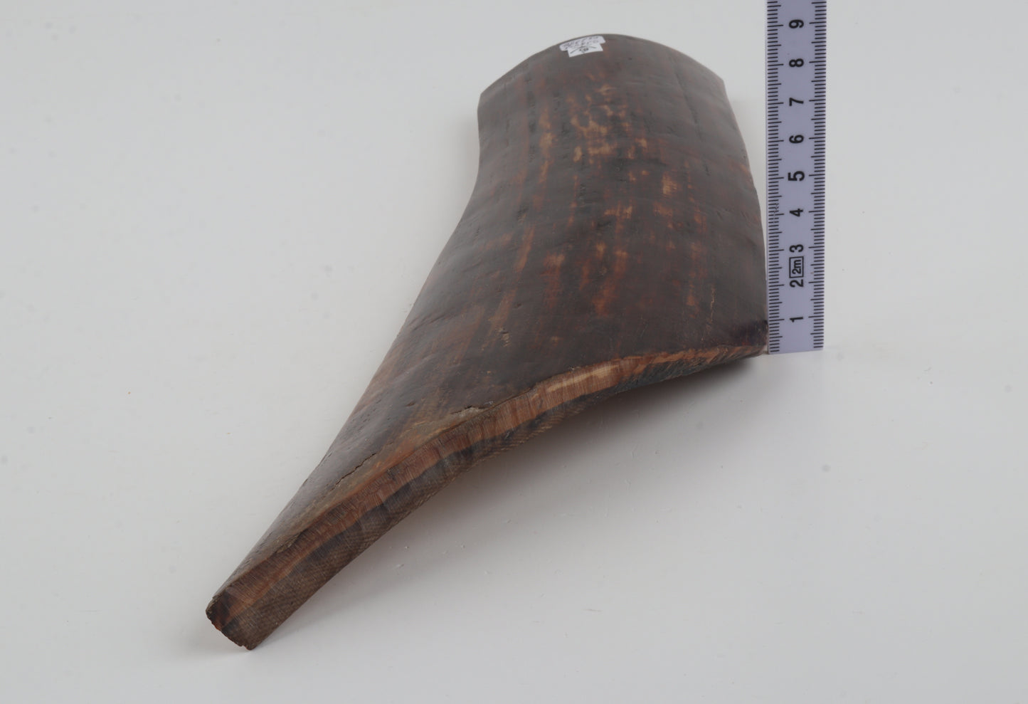 Red-brown mammoth bark