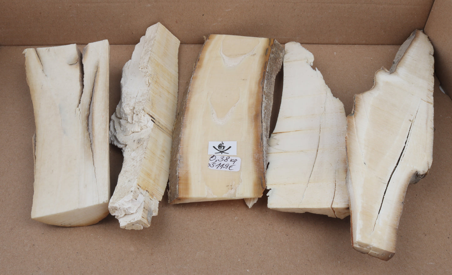 Untreated mammoth ivory pieces
