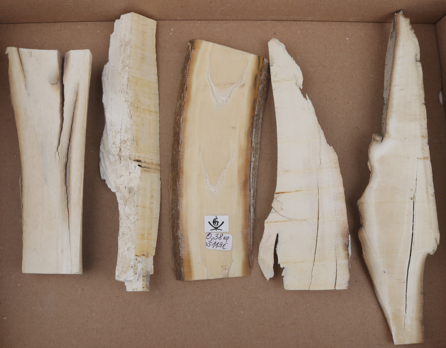 Untreated mammoth ivory pieces