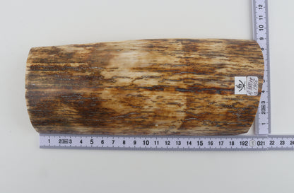 Brown-orange mammoth bark