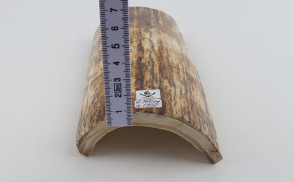 Brown-orange mammoth bark