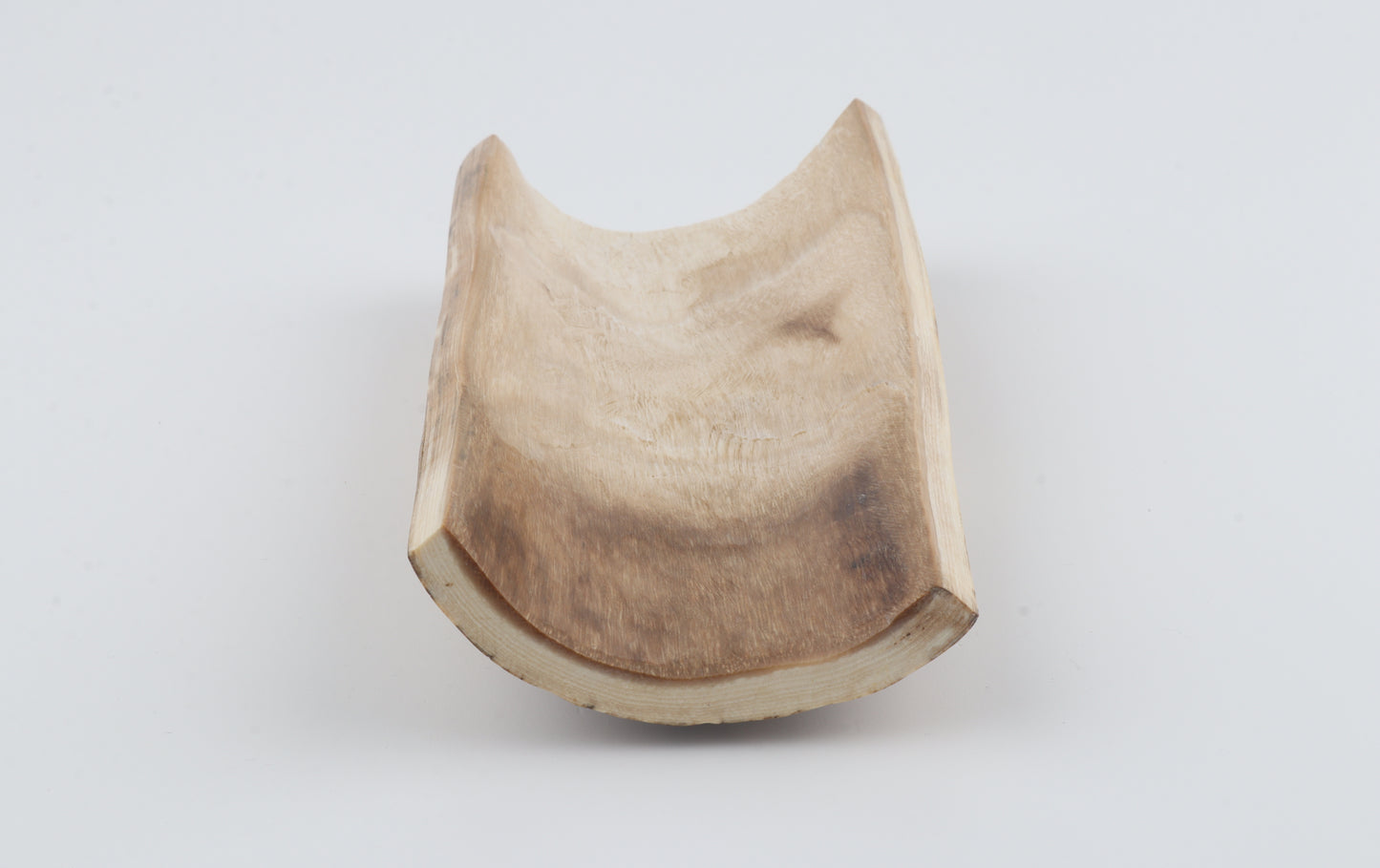 Brown-orange mammoth bark