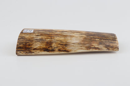 Brown-orange mammoth bark