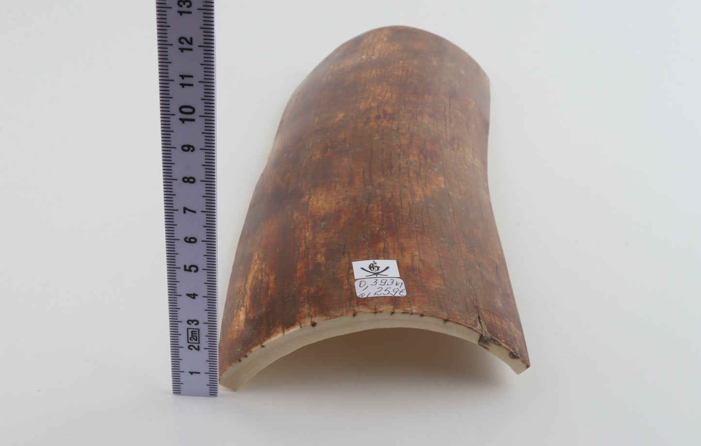 Caramel mammoth bark