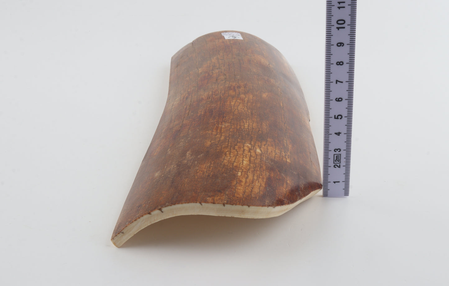 Caramel mammoth bark