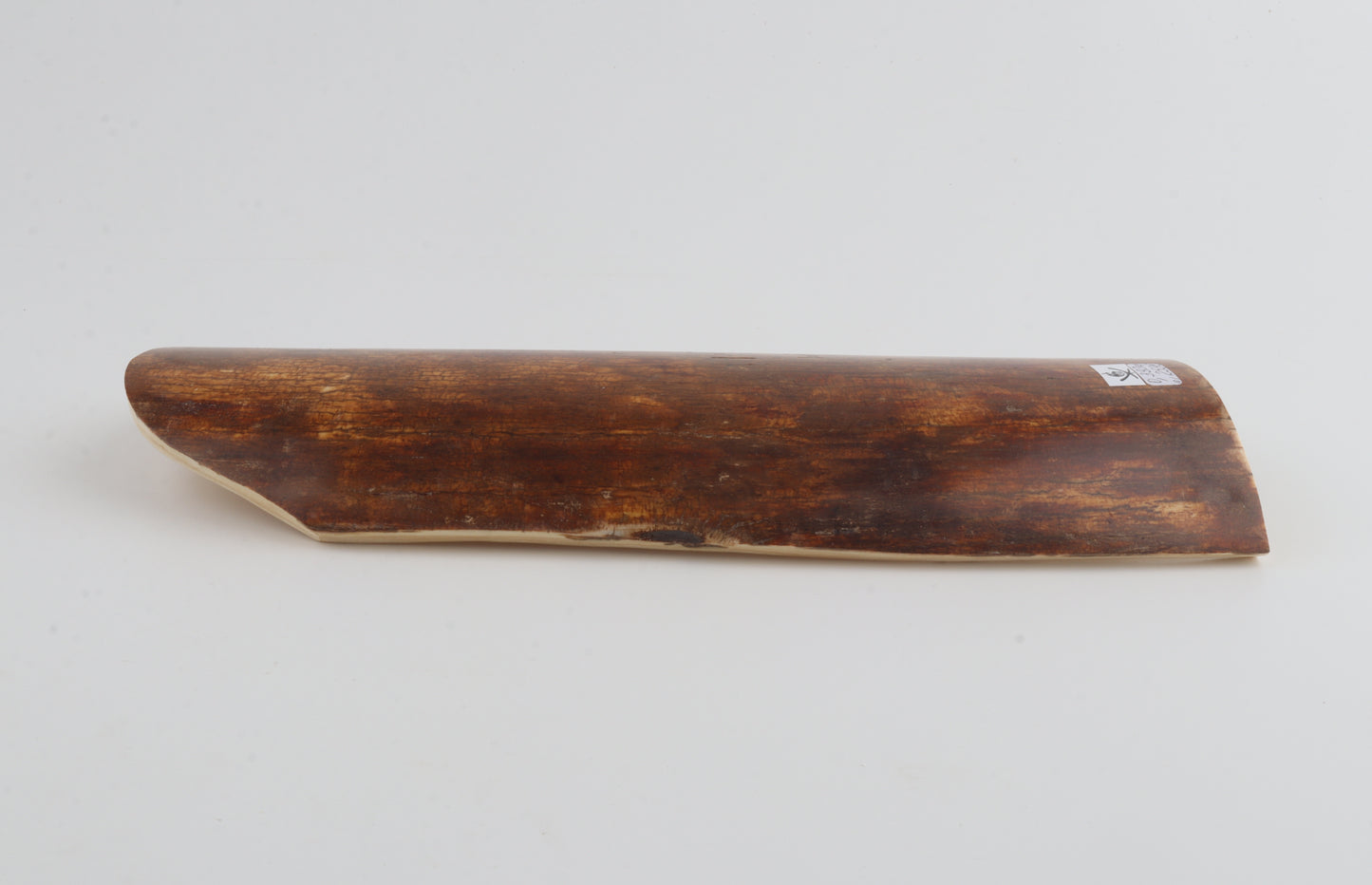 Caramel mammoth bark