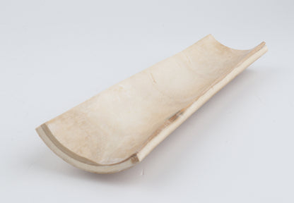 Beige woolly mammoth bark
