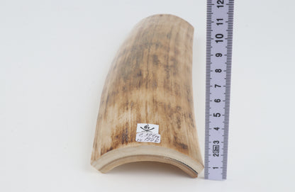 Beige woolly mammoth bark