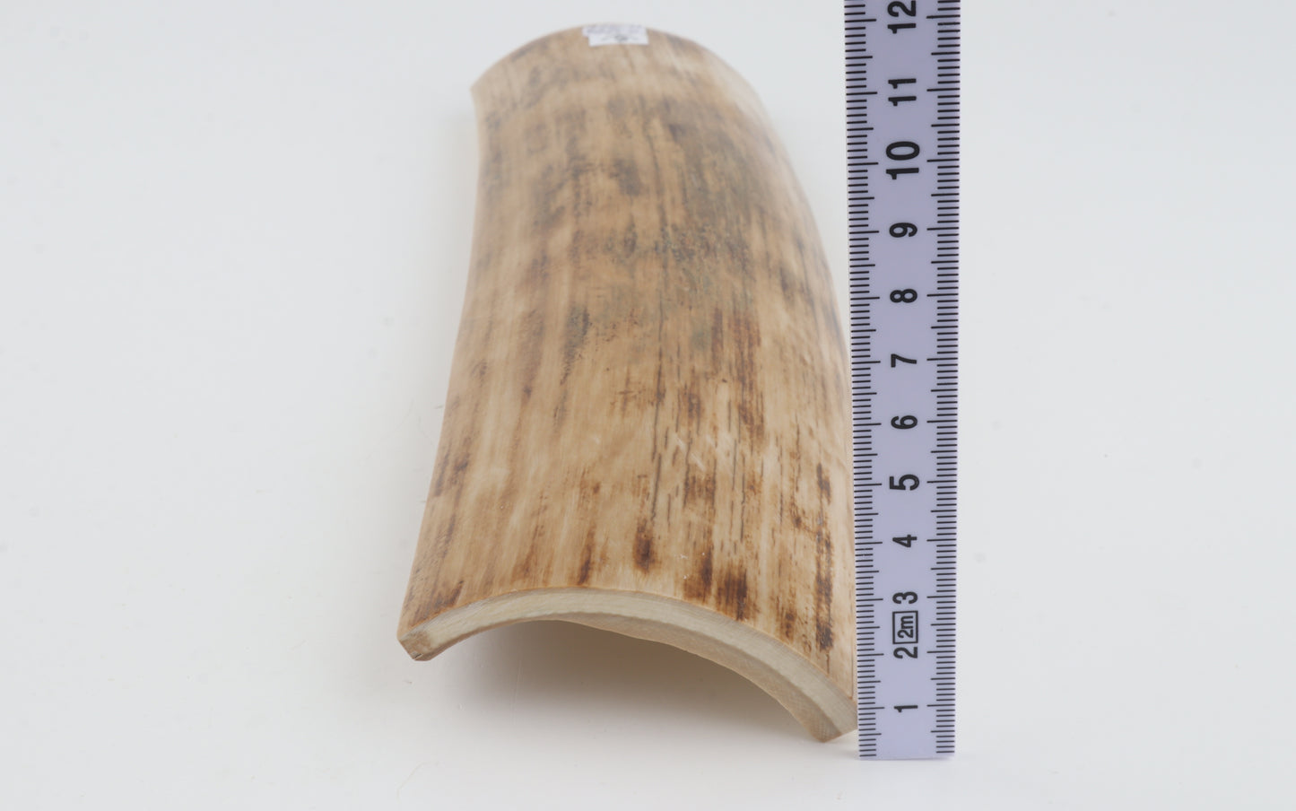Beige woolly mammoth bark