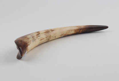 Restored mammoth tusk tip