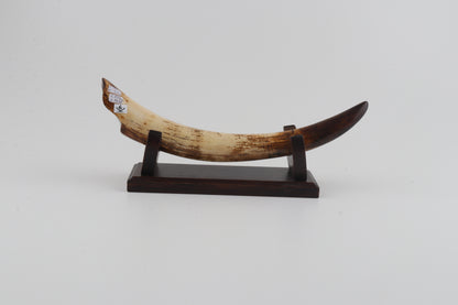 Restored mammoth tusk tip