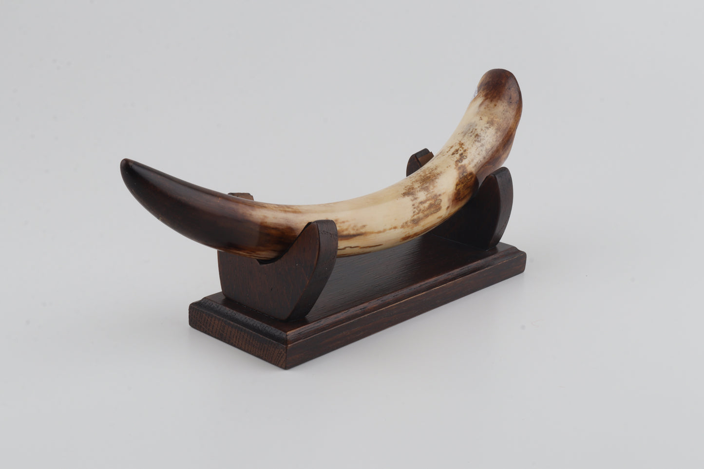 Restored mammoth tusk tip