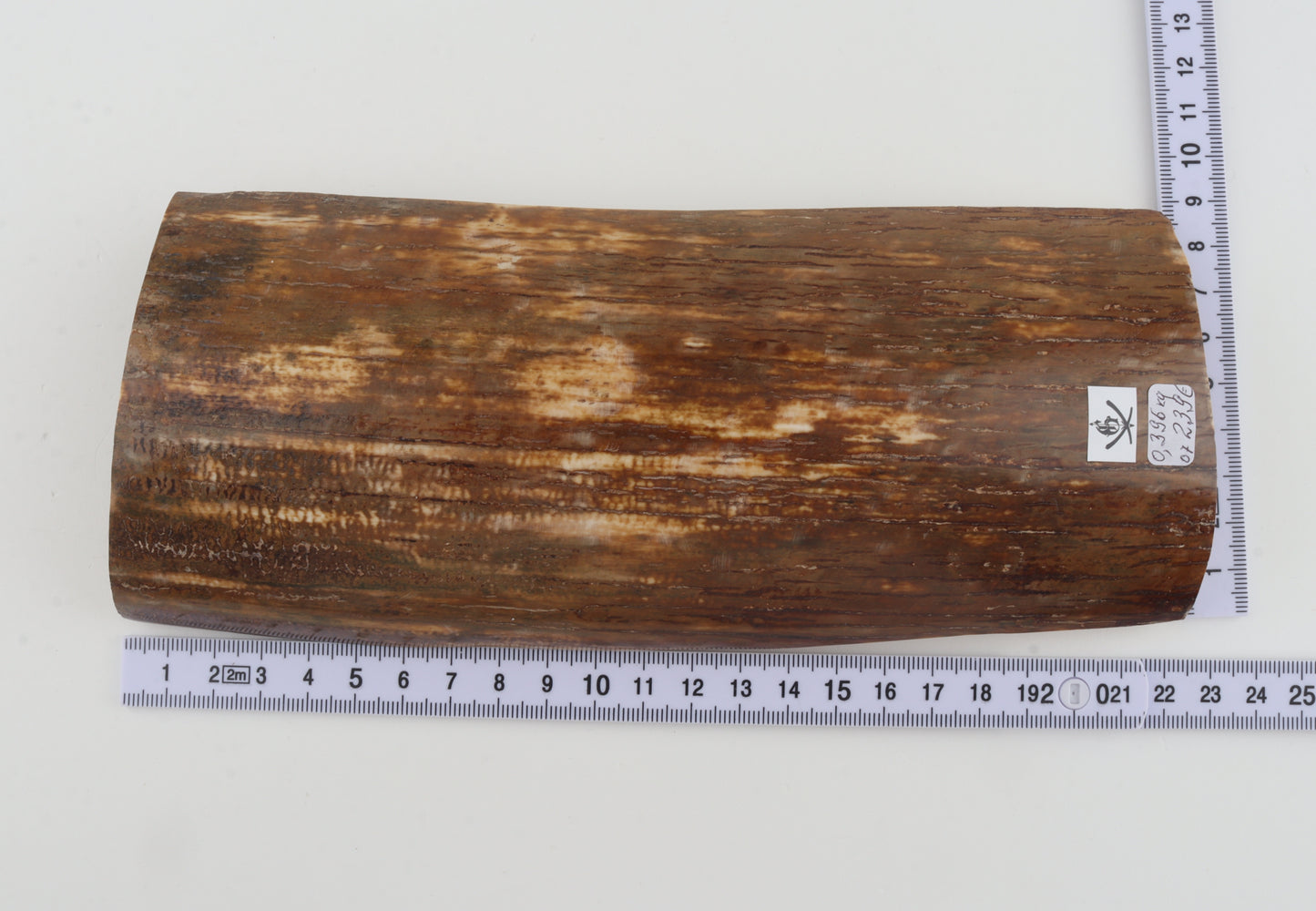 Orange-brown mammoth bark