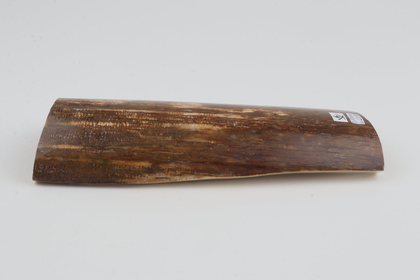 Orange-brown mammoth bark