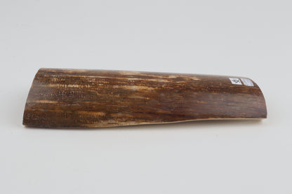 Orange-brown mammoth bark