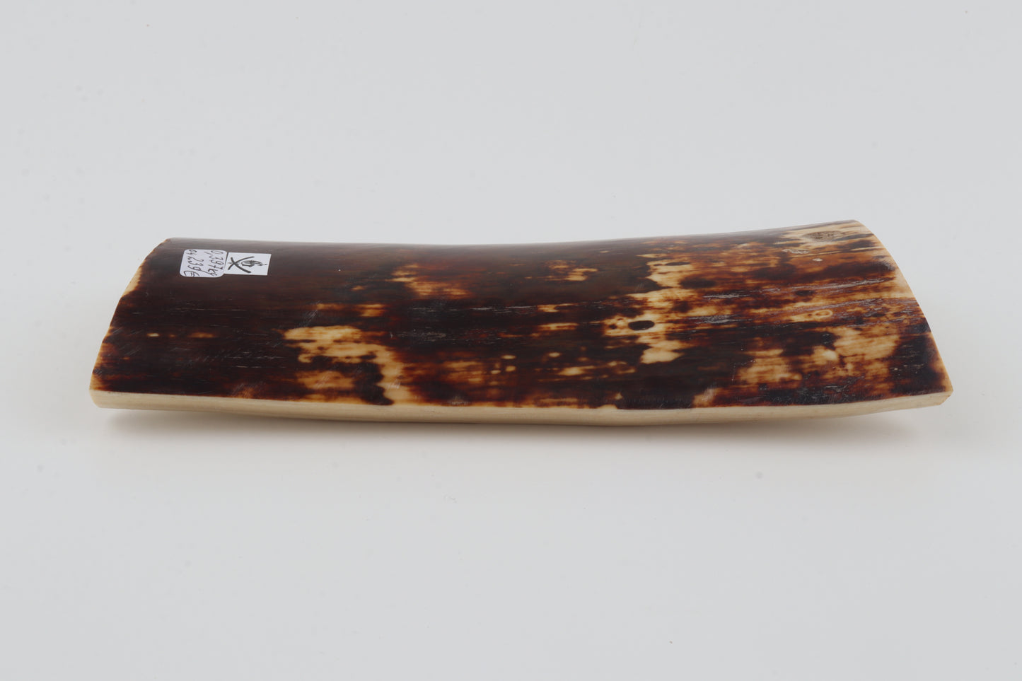 Brown mammoth bark