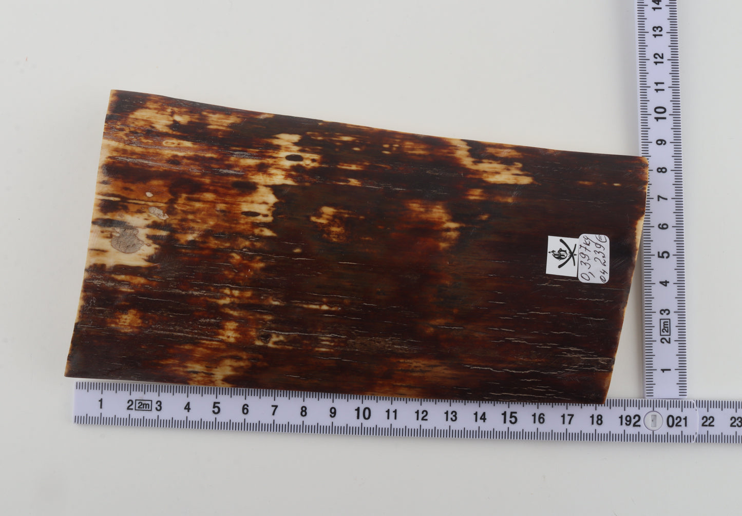 Brown mammoth bark