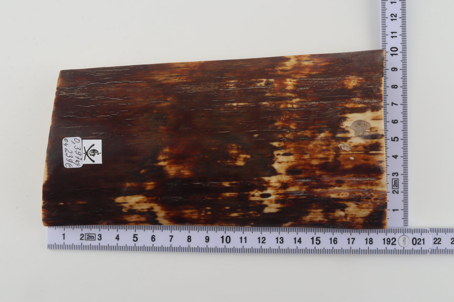 Brown mammoth bark