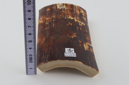 Brown mammoth bark