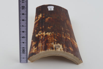 Brown mammoth bark