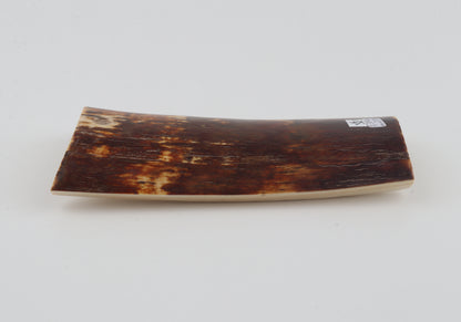 Brown mammoth bark
