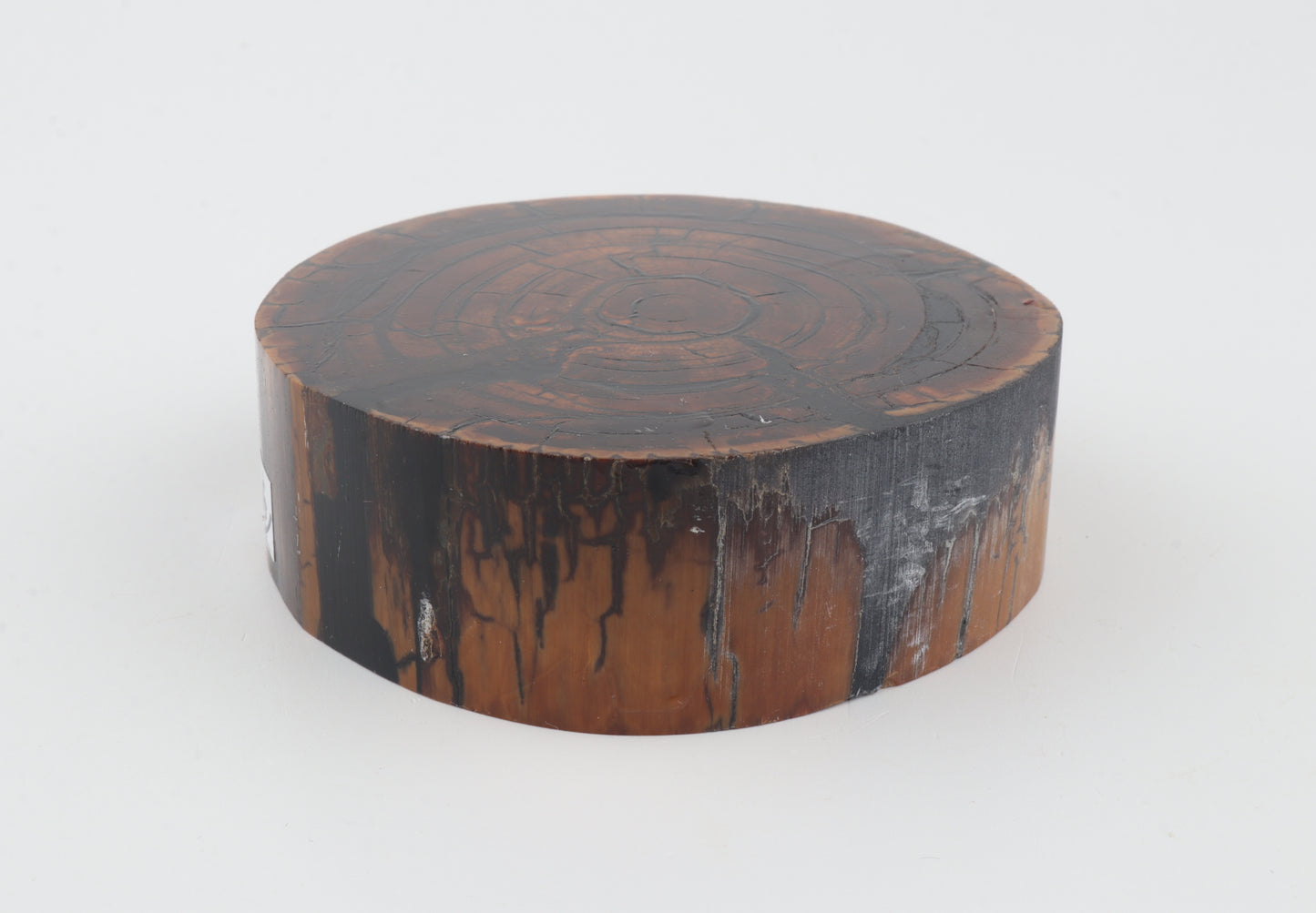 Stabilised mammoth ivory block