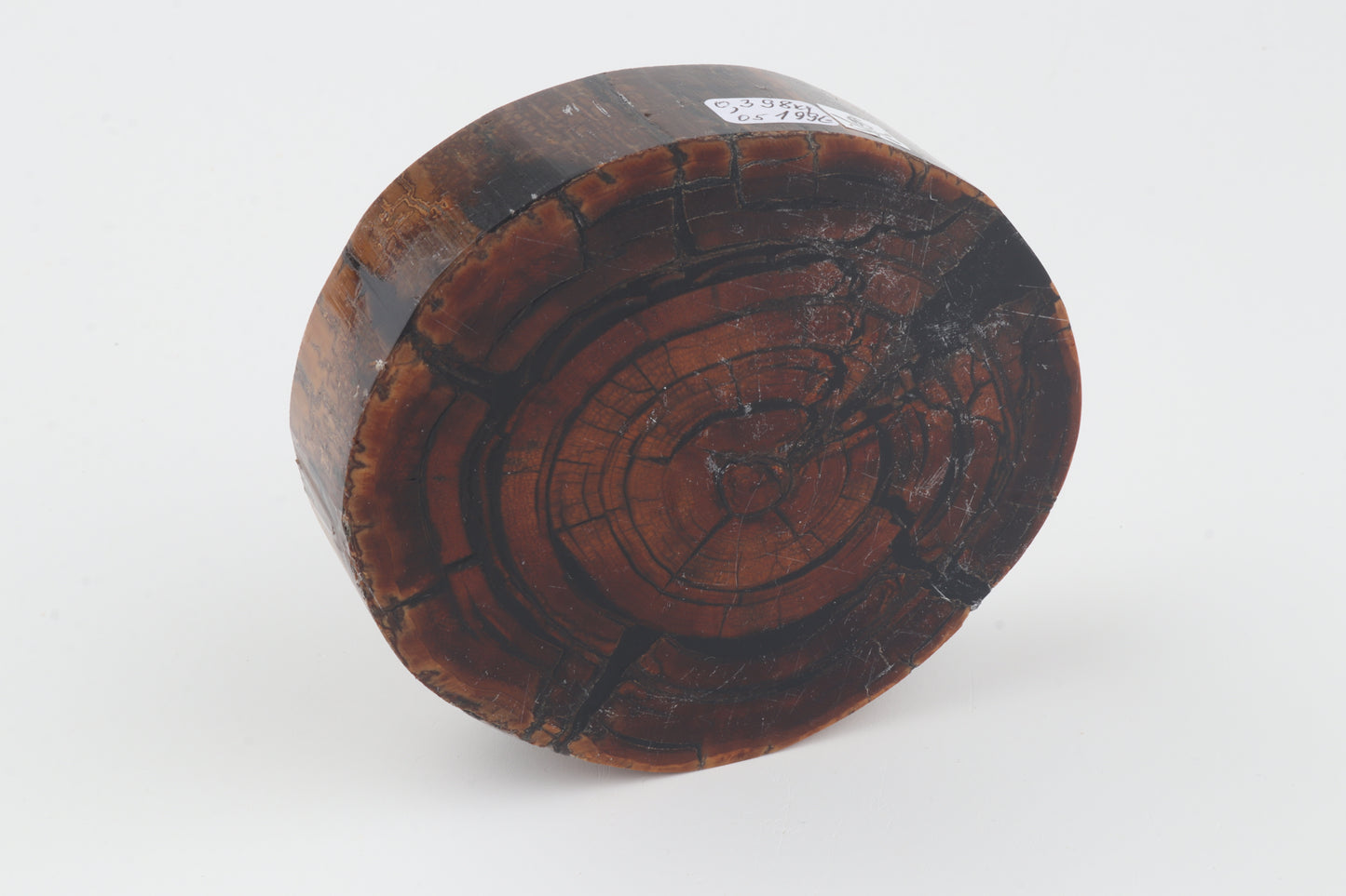 Stabilised mammoth ivory block